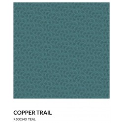 Hearthstone Copper Trail...