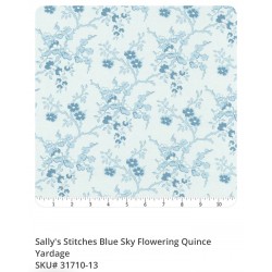 Sally’s Stitches 31710-13