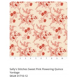 Sally’s Stitches 31710-12