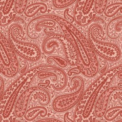 Kathleen's Story Paisley...