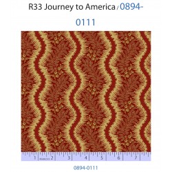 Journey to America 0894-0111