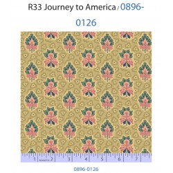 Journey to America 0896-0126