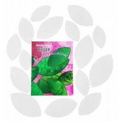 Bigger Perfect leaves by...